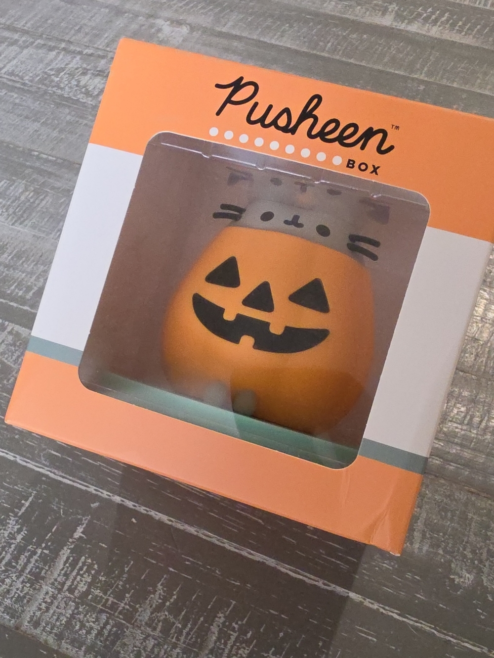 Pusheen Pumpkin Vinyl Figure, Limited Edition Fall 2025 Box, Halloween Cat